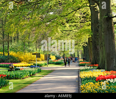 Jardins de KEUKENHOF LISSE Pays-bas FLEURS DE PRINTEMPS Banque D'Images