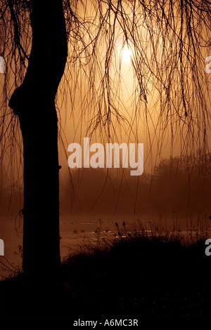 Matin brumeux sur Liden Lagoon Banque D'Images