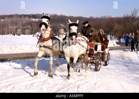 Deux chevaux blancs avec les gens dans un panier l'Ukraine Banque D'Images