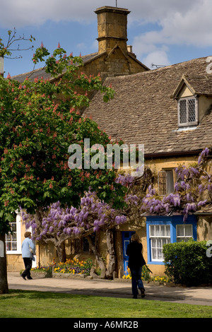 Wistera Cotswold, cottages, Broadway, Cotswolds, Worcestershire, Angleterre, RU Banque D'Images