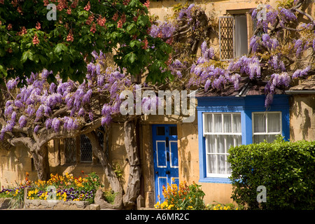 Wistera Cotswold, cottages, Broadway, Cotswolds, Worcestershire, Angleterre, RU Banque D'Images