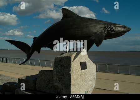 Le requin gris de récif sculpture la coque profonde Banque D'Images