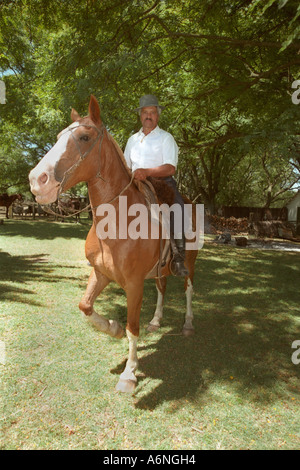 Gaucho à cheval dans les champs verts, journée ensoleillée Banque D'Images