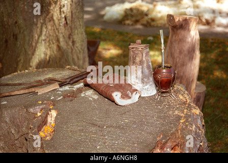 Gaucho still life , second ( ) thé vert , cisailles traditionnelles et lanières de cuir Gant Banque D'Images