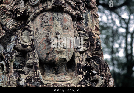 Stèle sculptée en pierre mégalithe représentant les anciens Mayas, fumée King Lapin 18 ruines mayas de Copan Honduras Amérique Centrale Banque D'Images