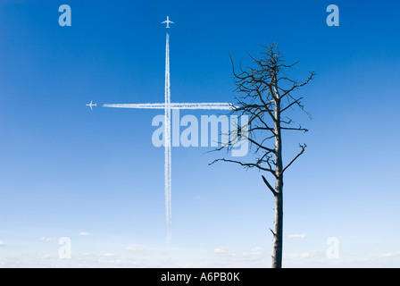 Arbre généalogique de pins morts en Allemagne et les traînées de condensation en forme de croix sens on peut enterrer la nature en Europe Banque D'Images