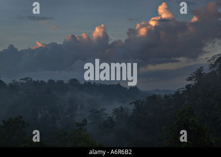 Le lever du soleil dans la vallée Ayung à Ubud Bali Indonésie Asie Banque D'Images