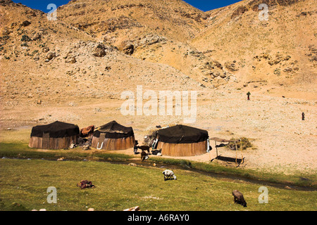L'AFGHANISTAN, près de village de Jam Aimaq camps nomades Banque D'Images
