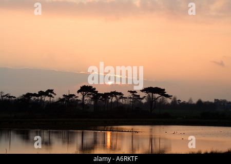 East Suffolk Angleterre Bawdsey Sunset Lane Banque D'Images