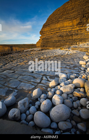 En fin de soirée le soleil baigne les falaises en couches dans une lumière dorée. Cailloux ovale reste sur les bords de la baie de Dunraven, Galles du Sud. Banque D'Images