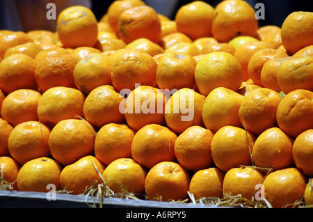 Cna77357 fruits orange fraîche vendue sur charrette dans la vieille ville d'Hyderabad, Andhra Pradesh, Inde Banque D'Images