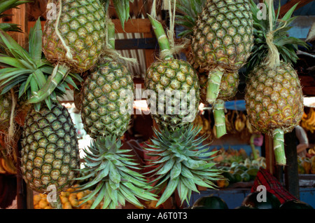 Zanzibar Tanzanie Afrique de l'ananas frais en vente à Stone Town Marché Central Banque D'Images