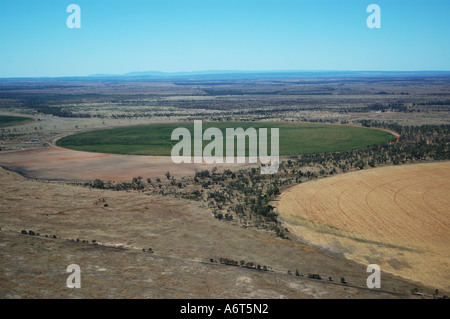 Les cercles de récolte du Queensland central du champ de blé irrigué Queensland Australie Banque D'Images