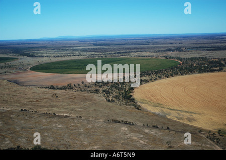 Les cercles de récolte du Queensland central du champ de blé irrigué Queensland Australie Banque D'Images