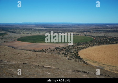 Les cercles de récolte du Queensland central du champ de blé irrigué Queensland Australie Banque D'Images