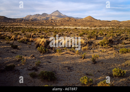 Paysage de haute altitude des montagnes au loin en Bolivie que coucher de soleil Banque D'Images