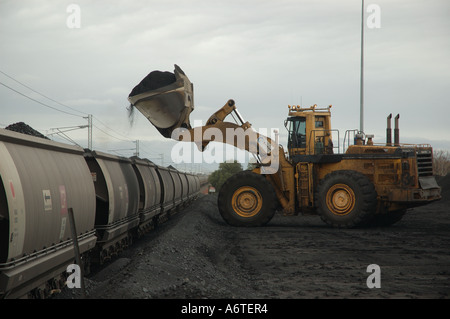 Chargeur avant et les wagons de charbon Central Queensland Banque D'Images