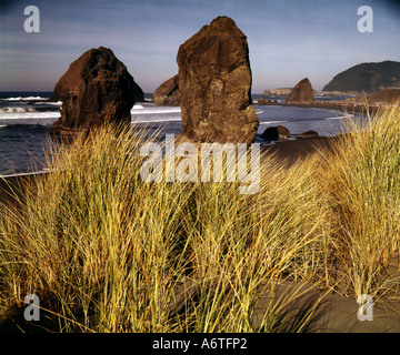 Cure graminées une fois dehors au soleil et seastacks s'élèvent sur les eaux de l'océan le long de la côte sud de l'Oregon Banque D'Images