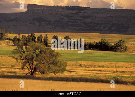 L'Afrique, l'État libre, Eastern Highlands ; montagnes Maluti, Route 26 Banque D'Images