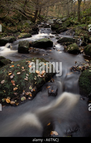 Burbage Brook circulant dans les gorges, près de Grindleford Padley, Derbyshire, dans le Peak District National Park, Angleterre. Banque D'Images