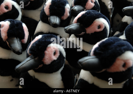 Les pingouins en peluche en vente à l'étrave cadeaux, Stanley, capitale des Malouines, l'Atlantique Sud Banque D'Images