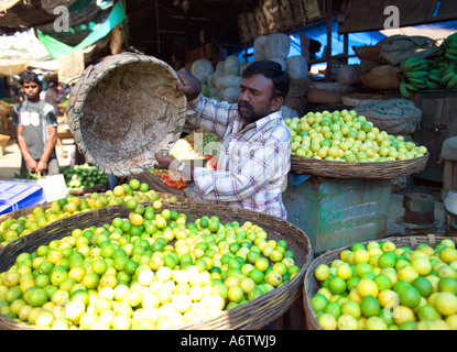Stand avec limes Devasaja marché de fruits et légumes, Mysore, Karnataka, Inde l'État Banque D'Images