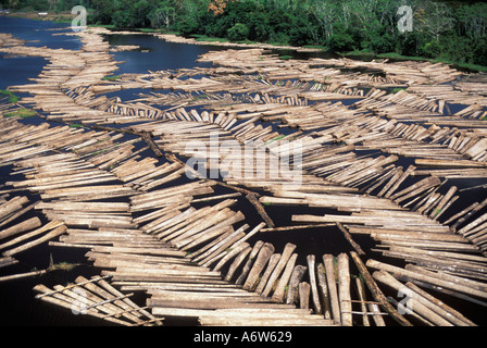 Conduite de grumes, déplacement de troncs d'arbres de la forêt à la scierie en aval en utilisant le courant de la rivière, exploitation forestière, déforestation de la forêt amazonienne, Brésil. Banque D'Images