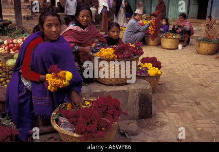 L'Asie, Népal, Vallée de Kathmandu, Bhaktapur. pour la vente de fleurs de souci, utilisé pour décorer des maisons pour Dipawali Tihar festival Banque D'Images