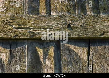 Mur en bois de chêne avec des clous d'une maison viking 10 siècle l'anneau Viking Danemark Slagelse Trelleborg Château Banque D'Images