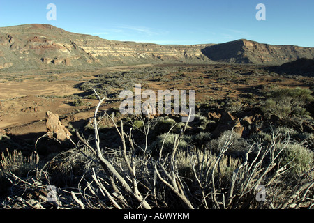 Las Cañadas - Mount Caldera Tedie Tenerife Espagne Banque D'Images