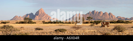 Spitzkoppe montagnes avec tin hut- Afrique Namibie Erongo de Cervin Banque D'Images