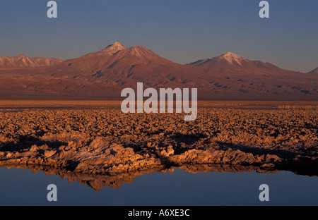 Salar de Atacama Chili excursion à partir de San Pedro de Atacama Lac Chaxa Reserva Nacional de flamencos Banque D'Images