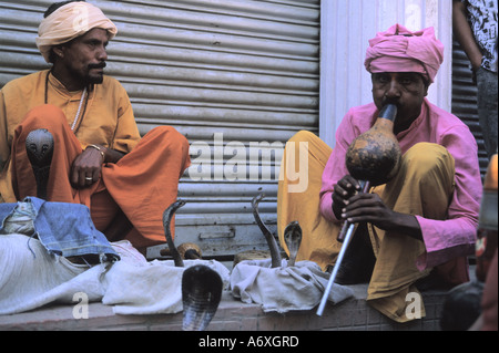 Les charmeurs de serpent de l'Inde avec snake crâneuse dans Thamel Katmandou Népal Banque D'Images