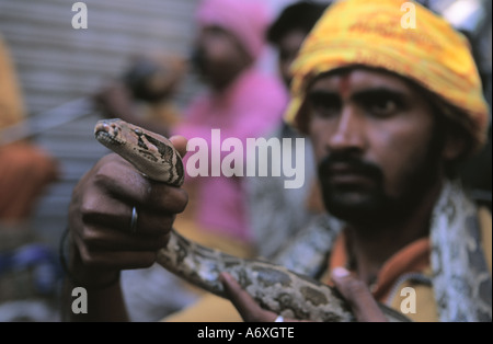 Charmeur de serpent de l'Inde avec snake crâneuse dans Thamel Katmandou Népal Banque D'Images