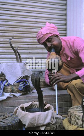 Charmeur de serpent de l'Inde avec snake crâneuse dans Thamel Katmandou Népal Banque D'Images