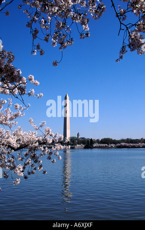 Le Monument de Washington, Washington DC, USA Banque D'Images