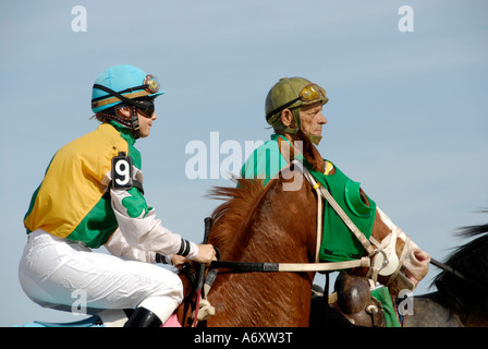 Courses de chevaux pur-sang Downs Tampa Bay Floride FL Tampa Banque D'Images