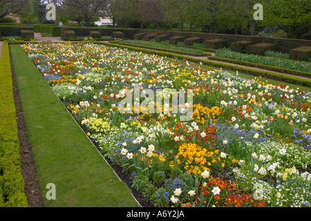 Fleurs dans le parc de Sceaux Sceaux France Banque D'Images