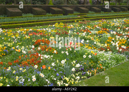 Fleurs dans le parc de Sceaux France Banque D'Images
