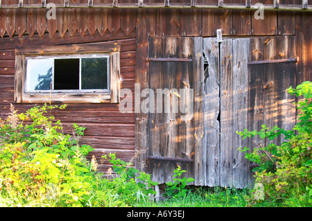 Style traditionnel en bois peints suédois chambre. Une porte jardin négligé envahi par la grange. Peeling décoloration de la peinture. Smaland région. Banque D'Images