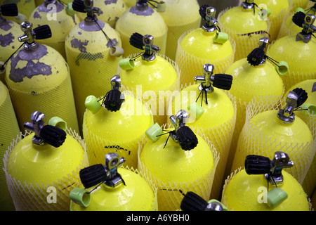 Bouteilles d’air comprimé Banque D'Images