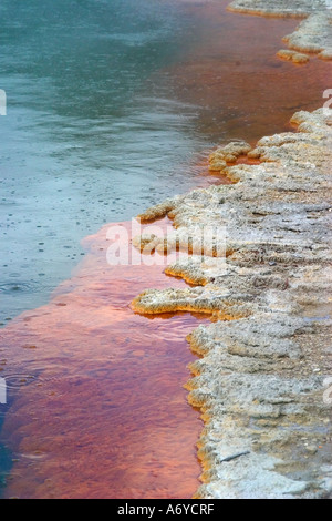 Les dépôts de minéraux à bord de piscine Champagne Wai O Tapu Rotorua bulles de gaz qui donnent le nom à la p[ool peut être vu clairement Banque D'Images