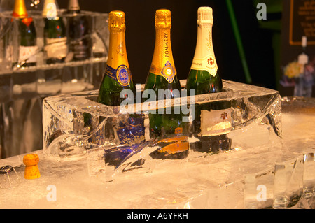 Un bar de glace avec champagne verres en glace pure. À Vinordic. Nicolas Feuillatte, Pommery, Palmer. Au commerce du vin Vinordic sho Banque D'Images