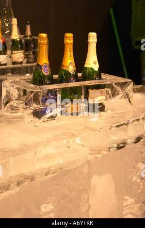 Un bar de glace avec champagne verres en glace pure. À Vinordic. Nicolas Feuillatte, Pommery, Palmer. Au commerce du vin Vinordic sho Banque D'Images