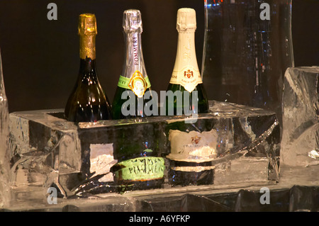 Un bar de glace avec champagne verres en glace pure. À Vinordic. Nicolas Feuillatte, Pommery, Palmer. Au commerce du vin Vinordic sho Banque D'Images