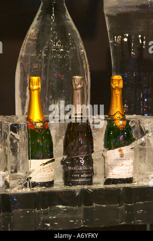 Un bar de glace avec champagne verres en glace pure. À Vinordic. Bollinger, Billecart-Salmon, Launois. Au commerce du vin Vinordic sh Banque D'Images