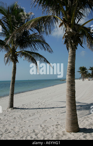 Florida Keys vue incroyable l'infini de l'eau sans fin au bord de l'immense route plage mer du Nord Amériques côte plage Plages Banque D'Images