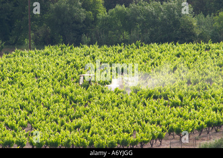 Pic St Loup. Languedoc. Un tracteur de la pulvérisation avec traitement dans le vignoble. La France. L'Europe. Banque D'Images