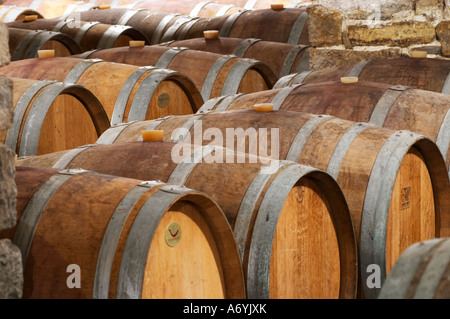 Domaine Cazeneuve à Lauret. Pic St Loup. Languedoc. Chais à barriques. La France. L'Europe. Banque D'Images