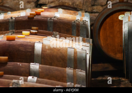 Domaine Cazeneuve à Lauret. Pic St Loup. Languedoc. Chais à barriques. La France. L'Europe. Banque D'Images